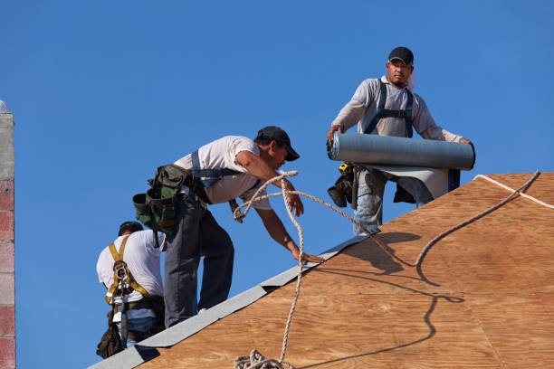 Best Roof Gutter Cleaning  in Perry, OK